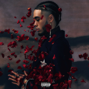 肥岳虎狼之年的原文及注释
