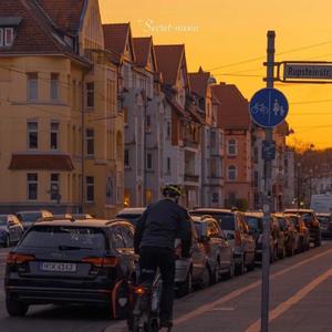 肥岳虎狼之年的原文及注释
