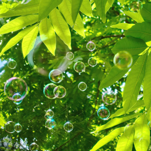 肥岳虎狼之年的原文及注释
