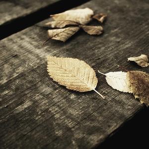 肥岳虎狼之年的原文及注释
